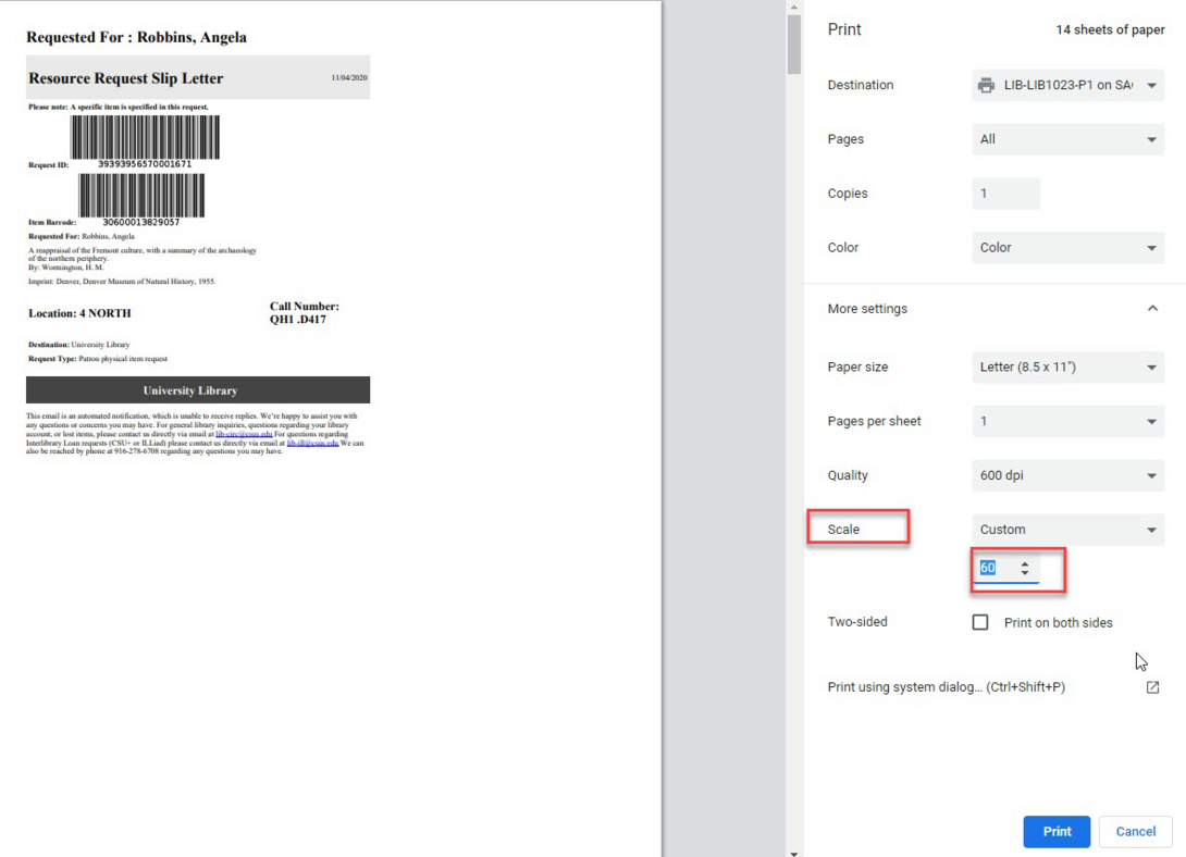 The print screen with the scale customized to 60.